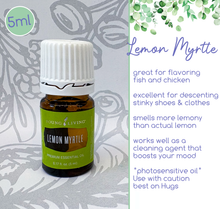 Load image into Gallery viewer, Essential Oils For Your Hugs - 5 and 15ml bottles