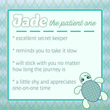 Load image into Gallery viewer, Turtle Pocket Hug - Jade - Essential Oil Diffuser
