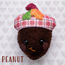 Load image into Gallery viewer, Collectable Hug -  Acorns Essential Oil Diffuser Plushies
