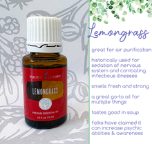 Load image into Gallery viewer, Essential Oils For Your Hugs - 5 and 15ml bottles
