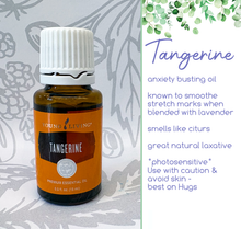 Load image into Gallery viewer, Essential Oils For Your Hugs - 5 and 15ml bottles
