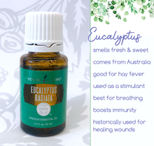 Load image into Gallery viewer, Essential Oils For Your Hugs - 5 and 15ml bottles
